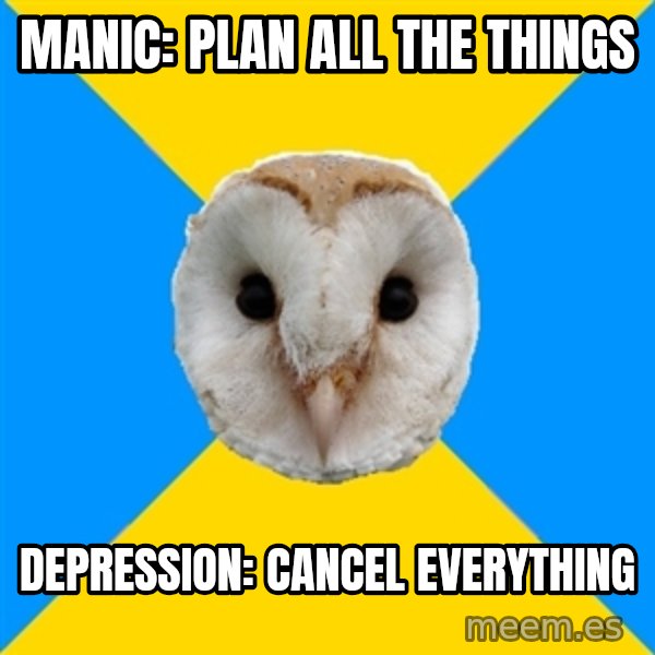 Bipolar Owl meme: MANIC: Plan all the things / DEPRESSION: CANCEL EVERYTHING