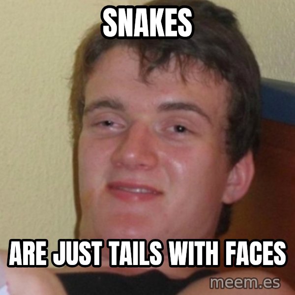 Stoner Stanley meme: snakes / aRe just tails with faces