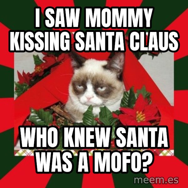 GRUMPY CAT ON CHRISTMAS meme: I saw mommy kissing santa claus / who knew santa was a mofo?