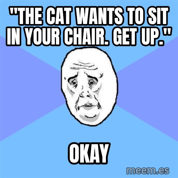 Okay Guy meme: "the cat wants to sit in your chair.  get up." / okay