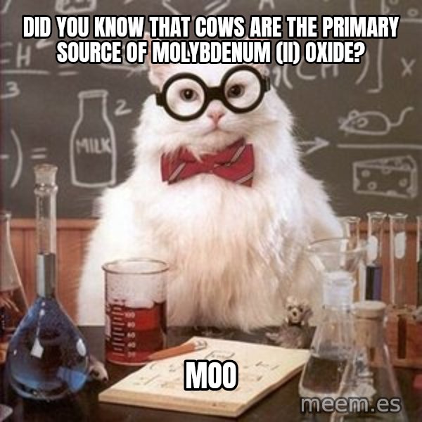 Chemistry Cat meme: Did you know that cows are the primary source of Molybdenum (II) Oxide? / Moo