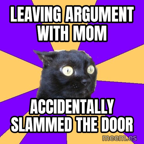 Anxiety Cat meme: LEAVING ARGUMENT WITH MOM / ACCIDENTALLY SLAMMED THE DOOR