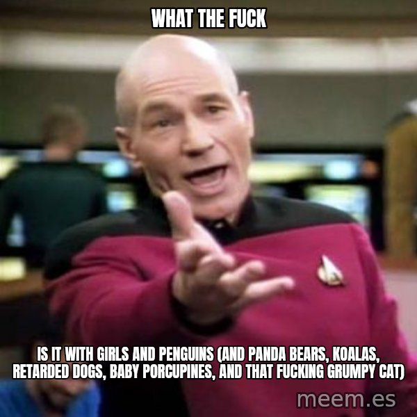Picard Wtf meme: What the fuck / is it with girls and penguins (and panda bears, koalas,  retarded dogs,  baby porcupines, and that fucking grumpy cat)