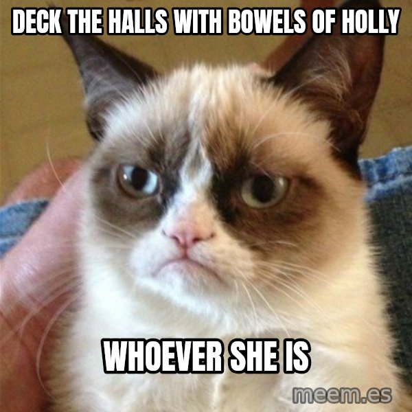 Grumpy Cat  meme: deck the halls with bowels of holly / whoever she is