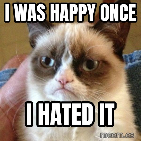 Grumpy Cat  meme: I was happy once / i hated it