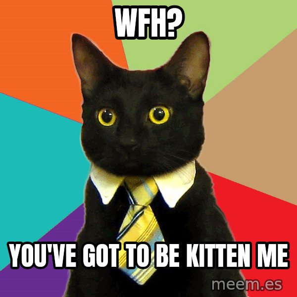 Business Cat meme: WFH? / You've GOT TO BE KITTEN ME