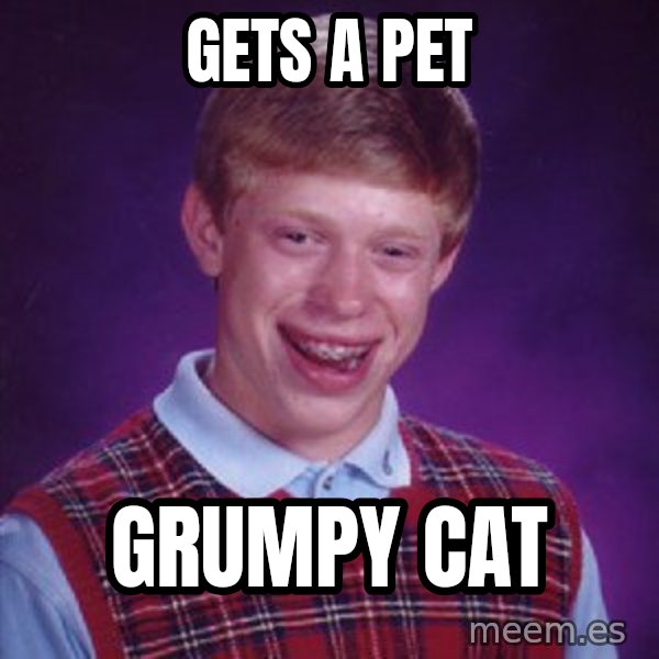 Bad Luck Brian meme: gets a pet / grumpy cat