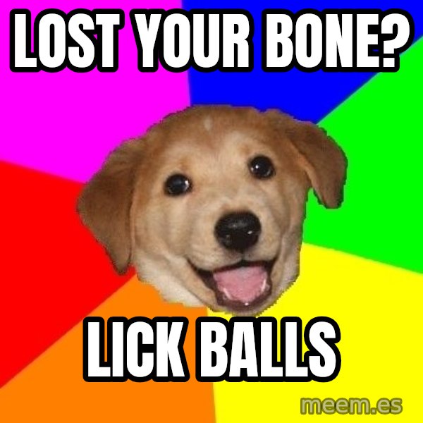 Advice Dog meme: lost your bone? / lick balls