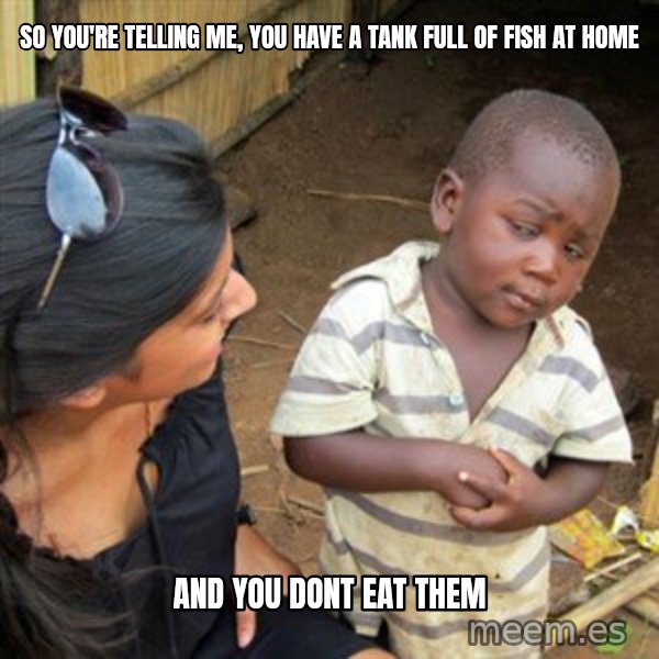 Skeptical 3rd World Kid meme: so you're telling me, you have a tank full of fish at home / and you dont eat them