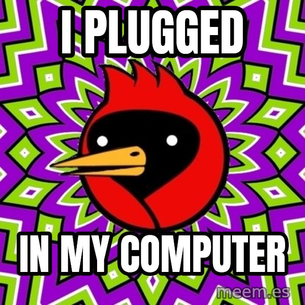 Omsk Crow meme: I Plugged / In My computer