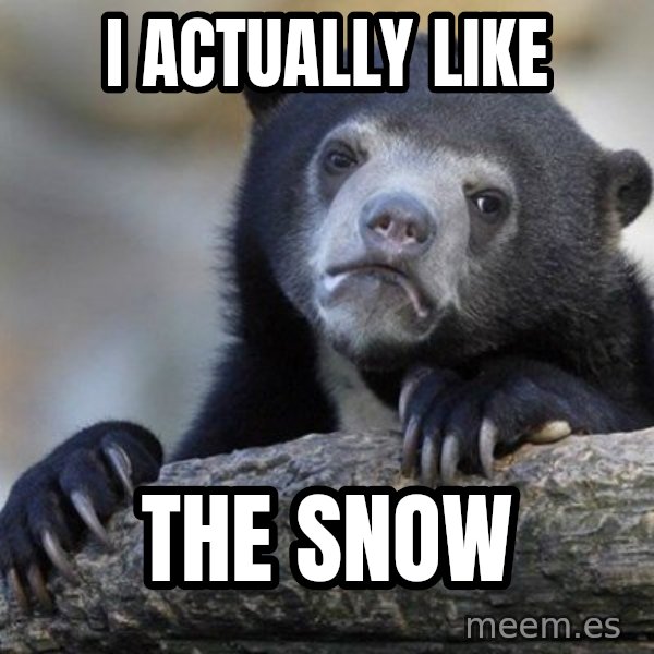 Confession Bear meme: I ACTUALLY LIKE / THE SNOW
