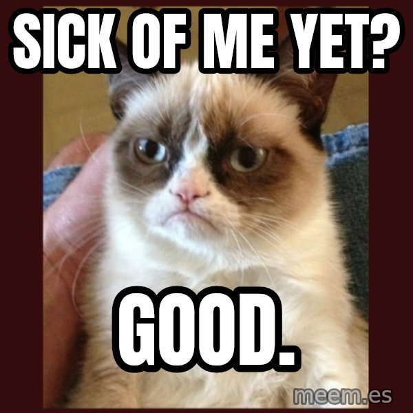 Grumpy Cat  meme: SICK OF ME YET? / gOOD.