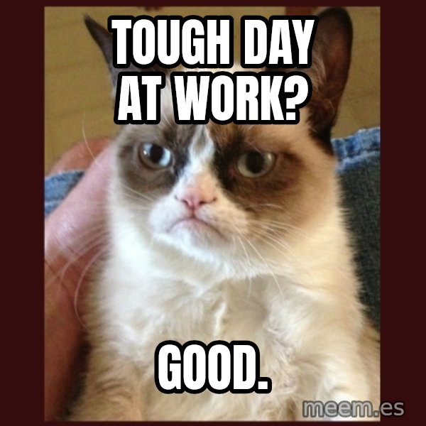 Grumpy Cat  meme: Tough day at work? / good.