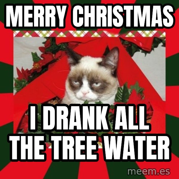 GRUMPY CAT ON CHRISTMAS meme: MERRY CHRISTMAS / I DRANK ALL THE TREE WATER