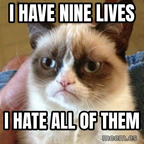 Grumpy Cat  meme: i have nine lives / i hate all of them