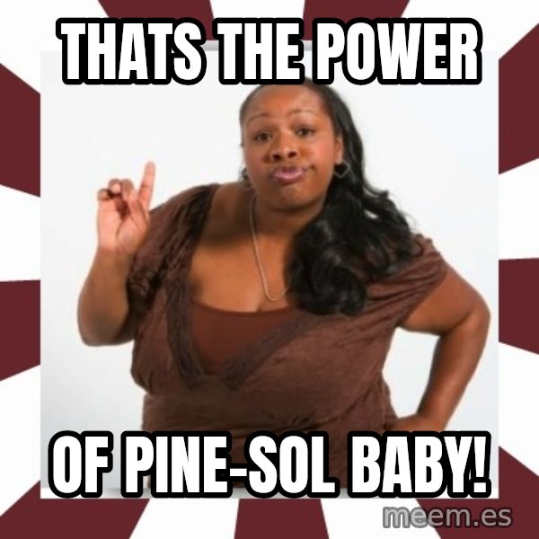 Sassy Black Woman meme: thats the power / of pine-sol baby!