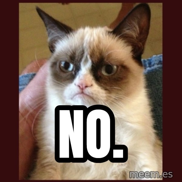 Grumpy Cat  meme: NO.