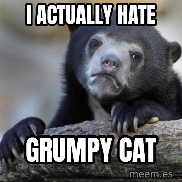 Confession Bear meme: I actually hate / grumpy cat