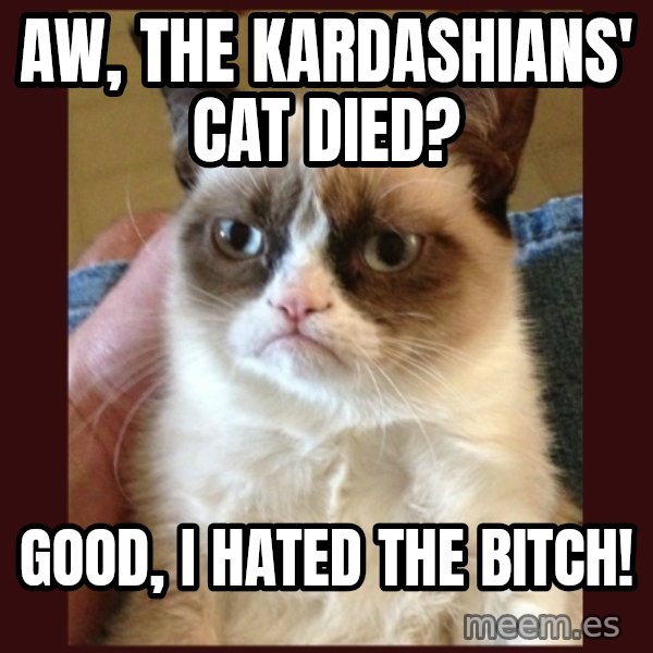 Grumpy Cat  meme: aw, the kardashians' cat died? / good, I hated the bitch!
