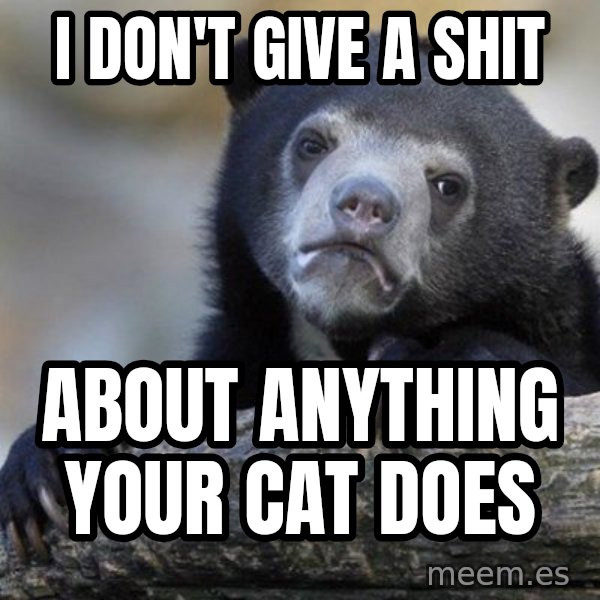 Confession Bear meme: I don't give a shit / about anything your cat does
