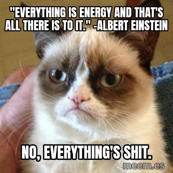 Grumpy Cat  meme: "Everything is energy and that's all there is to it." -Albert Einstein / No, everything's shit.