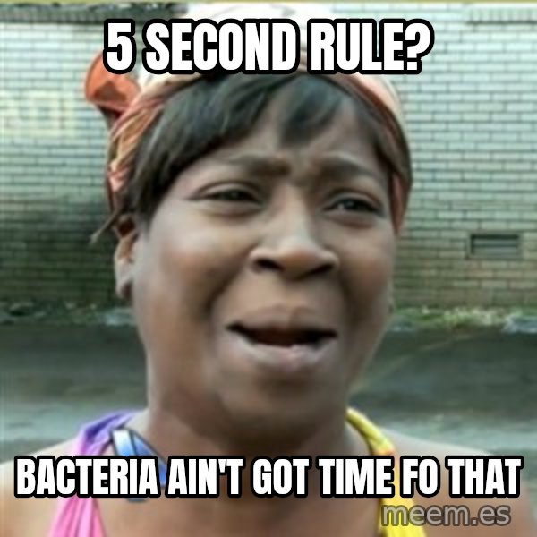 Ain't Nobody got time fo that meme: 5 second rule? / bacteria ain't got time fo that