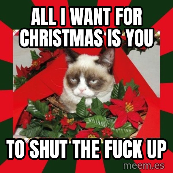 GRUMPY CAT ON CHRISTMAS meme: all i want for christmas is you / to shut the fuck up
