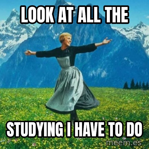 Look at All the Fucks I Give meme: Look at all the / studying i have to do