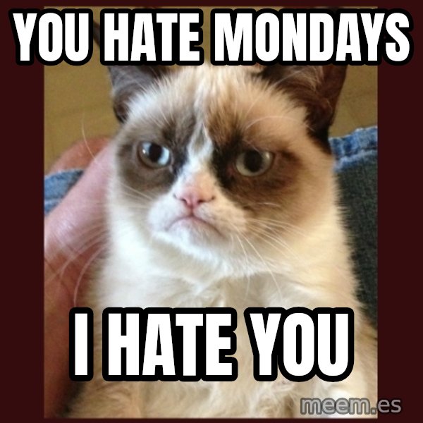 Grumpy Cat  meme: YOU HATE MONDAYS / I HATE YOU