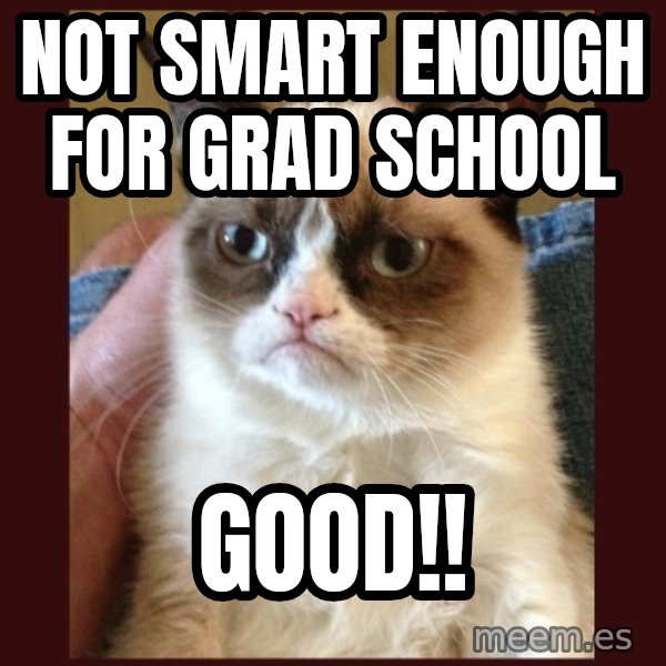 Grumpy Cat  meme: Not smart enough for grad school / good!!