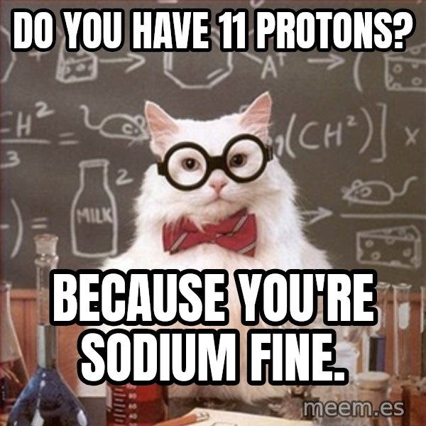 Science Cat meme: Do you have 11 protons? / Because you're sodium fine.