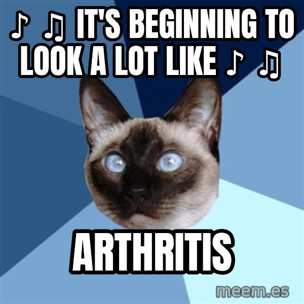 Chronic Illness Cat meme: ♪ ♫ It's beginning to look a lot like ♪ ♫ / Arthritis