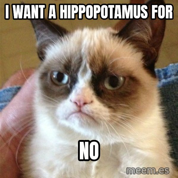 Grumpy Cat  meme: I want a Hippopotamus for / No