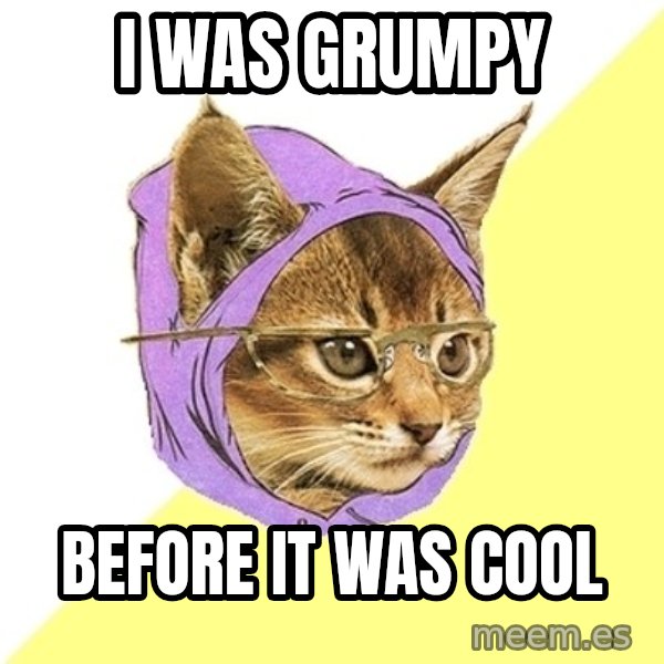 Hipster Kitty meme: I was grumpy / before it was cool