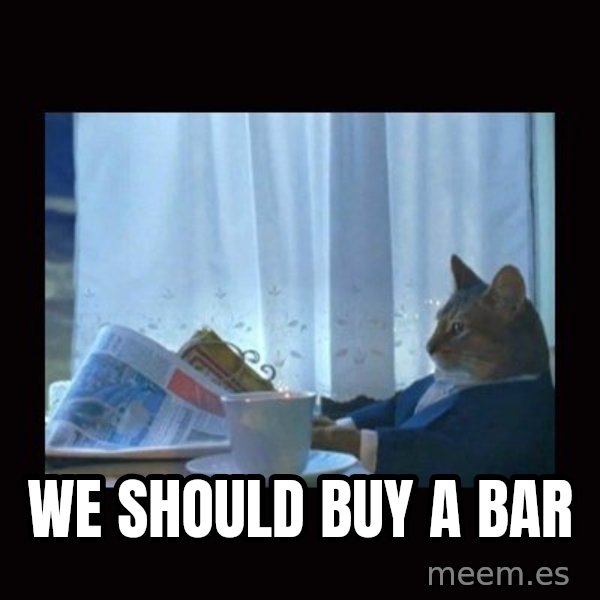 i should buy a boat cat meme: we should buy a bar