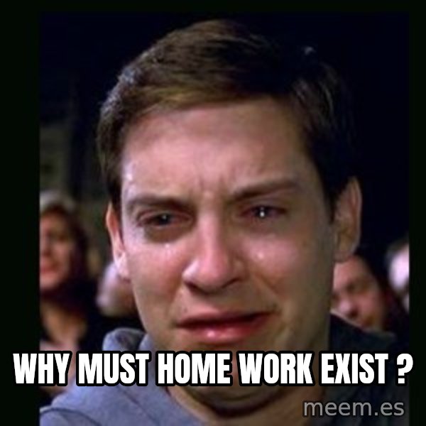 crying peter parker meme: WHY MUST HOME WORK EXIST ?
