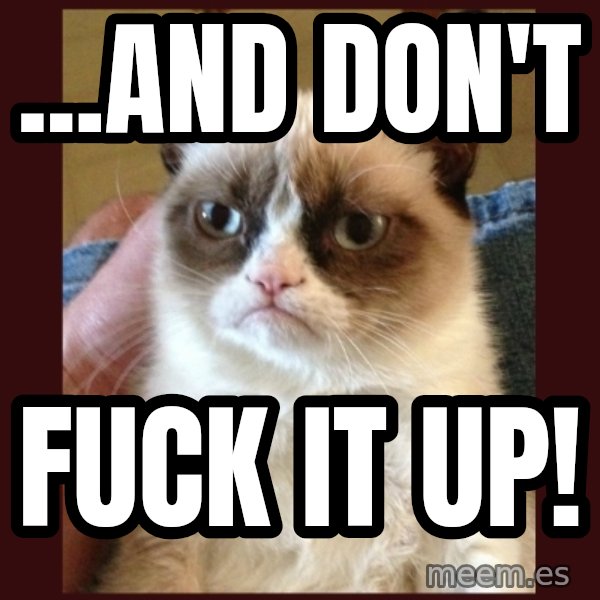 Grumpy Cat  meme: ...AND DON'T / fuck it up!