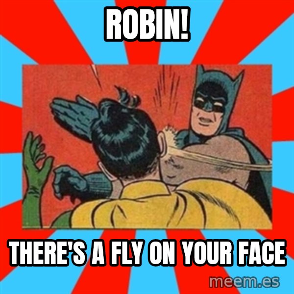 Batman Bitchslap meme: ROBIN! / THERE'S A FLY ON YOUR FACE