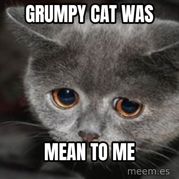 Sadcat meme: grumpy cat was / mean to me