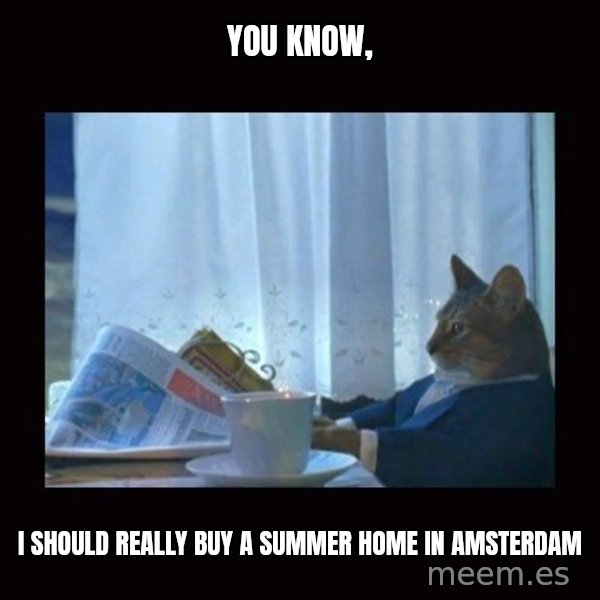 i should buy a boat cat meme: you know, / i should really buy a summer home in amsterdam