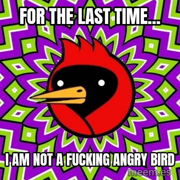 Omsk Crow meme: For the last time... / I am not a fucking angry bird