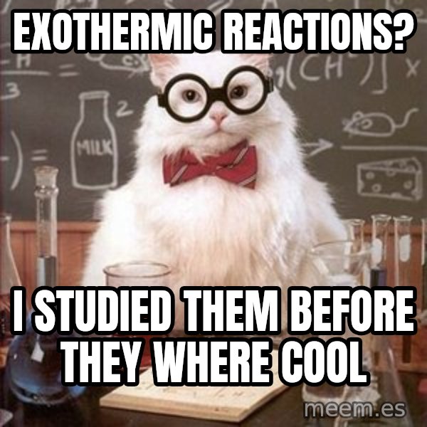 Chemistry Cat meme: Exothermic reactions? / I studied them before they where cool