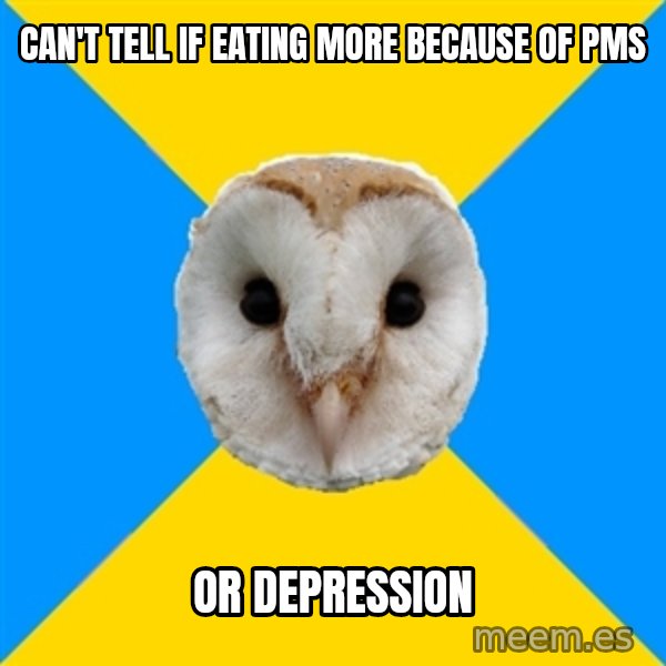 Bipolar Owl meme: can't tell if eating more because of pms / or depression