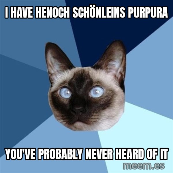 Chronic Illness Cat meme: I have henoch schönleins purpura / you've probably never heard of it