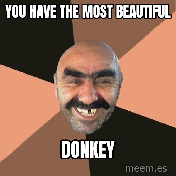 Provincial Man meme: You have the Most Beautiful / Donkey