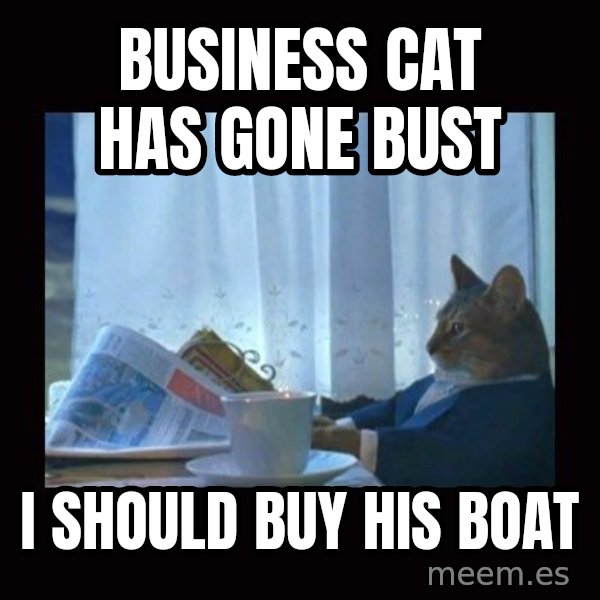 i should buy a boat cat meme: business cat has gone bust / I should buy his boat
