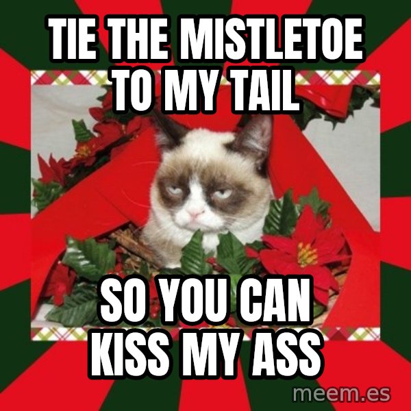 GRUMPY CAT ON CHRISTMAS meme: TIE THE MISTLETOE TO MY TAIL / SO YOU CAN KISS MY ASS