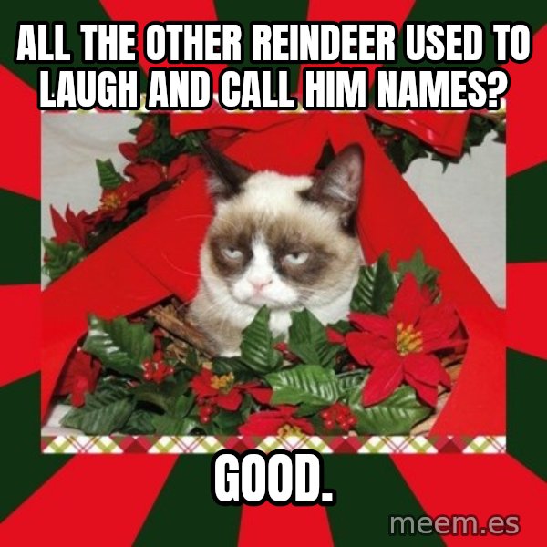 GRUMPY CAT ON CHRISTMAS meme: all the other reindeer used to laugh and call him names? / good.