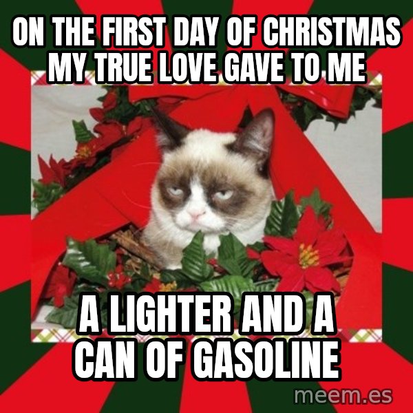 GRUMPY CAT ON CHRISTMAS meme: ON THE FIRST DAY OF CHRISTMAS MY TRUE LOVE gAVE TO ME / A LIGHTER AND A CAN Of gasoline