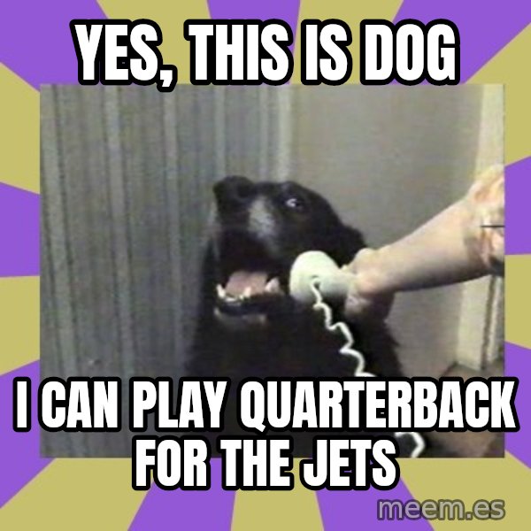 Yes, this is dog! meme: yes, this is dog / I can play quarterback for the Jets
